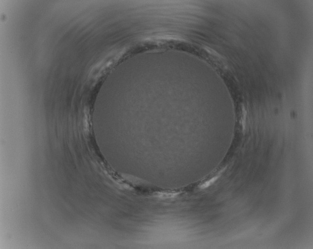 X0000076101014200610061701