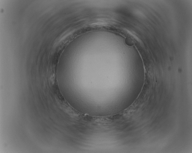 X0000076101015200610061701