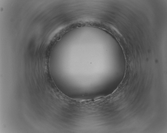 X0000076101016200610061701