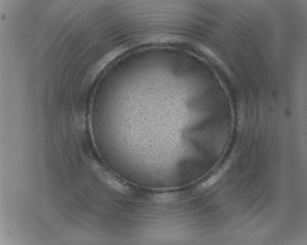 X0000076101017200610061701