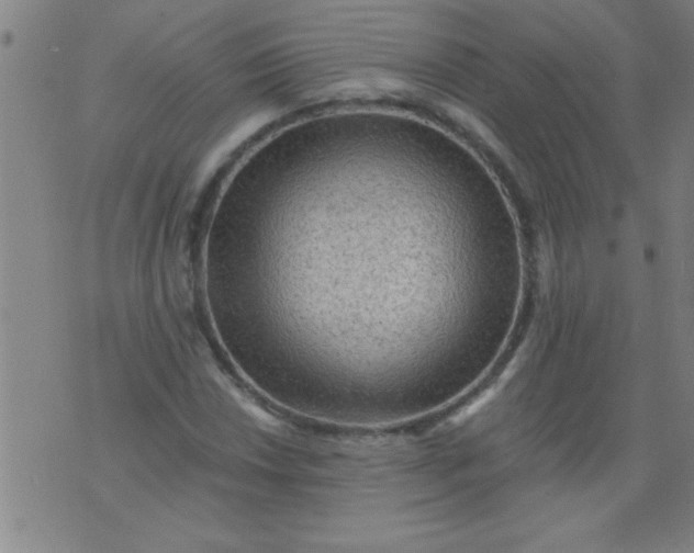 X0000076101018200610061701