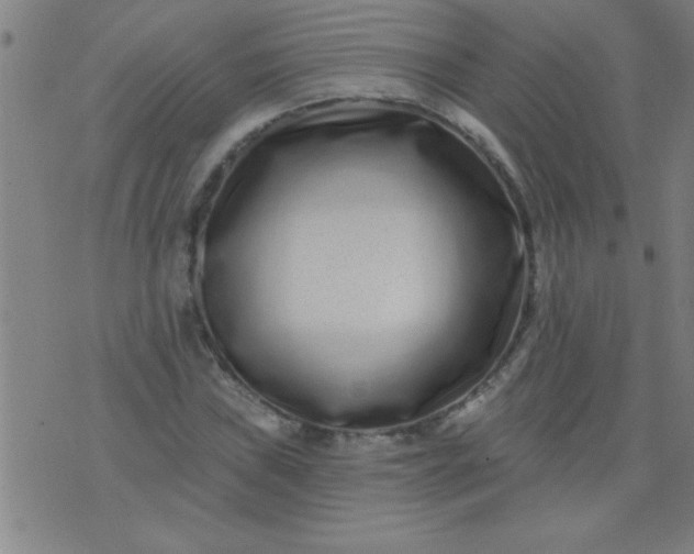 X0000076101019200610061701