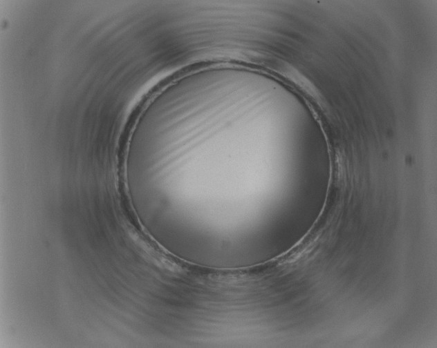 X0000076101020200610061701