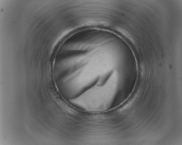 X0000076101021200610061701