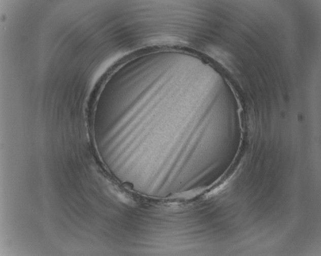 X0000076101022200610061701