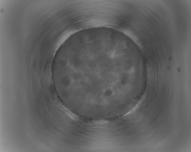 X0000076101023200610061701