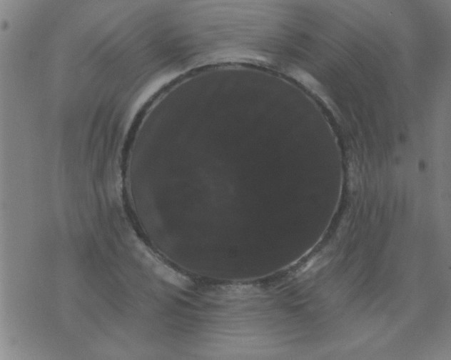 X0000076101024200610061701