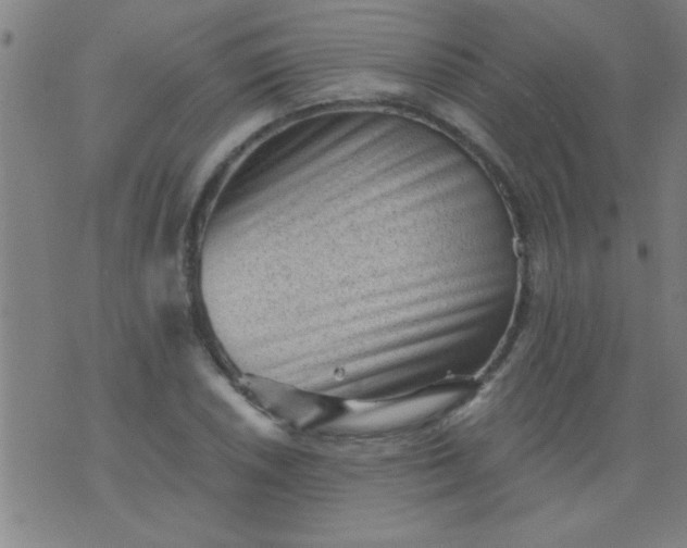 X0000076101026200610061701