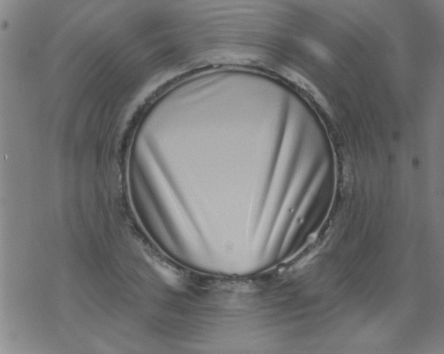 X0000076101027200610061701