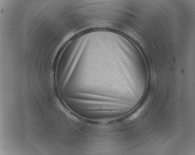 X0000076101029200610061701