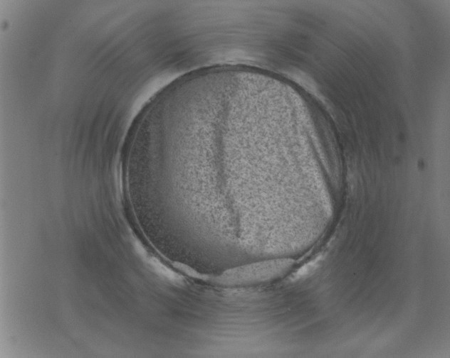 X0000076101032200610061701