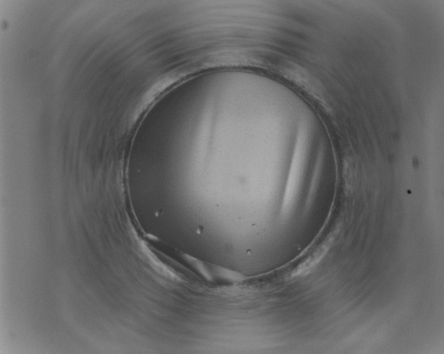 X0000076101033200610061701