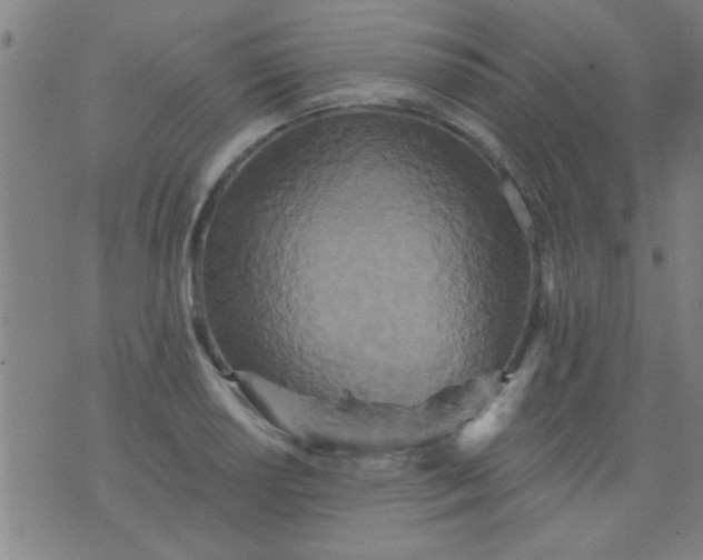 X0000076101034200610061701