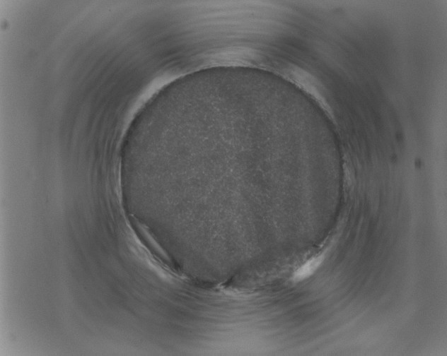 X0000076101035200610061701