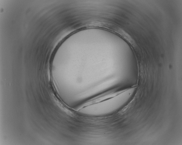 X0000076101036200610061701