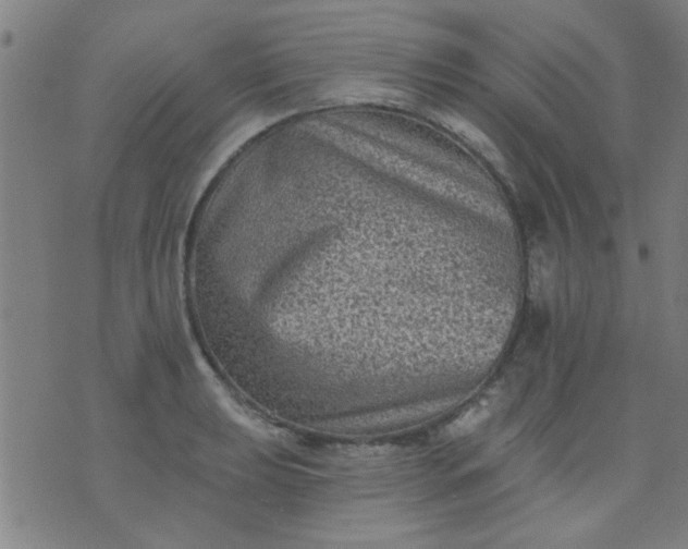 X0000076101039200610061701