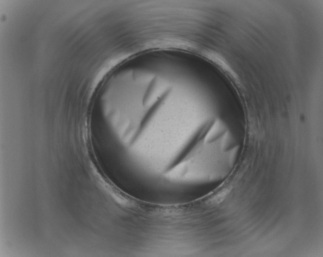 X0000076101040200610061701