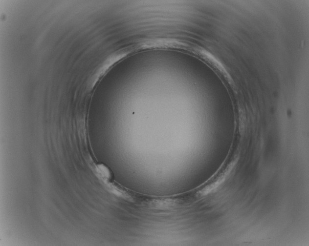 X0000076101041200610061701