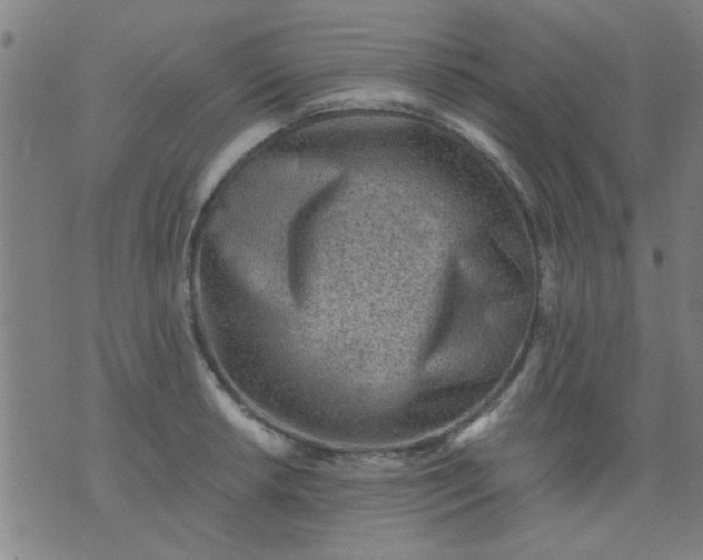 X0000076101042200610061701