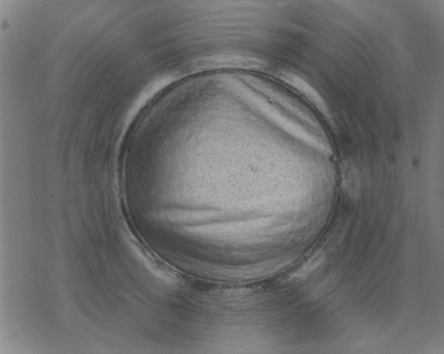 X0000076101043200610061702