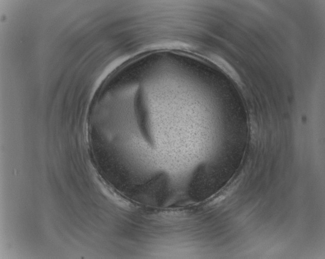 X0000076101044200610061702