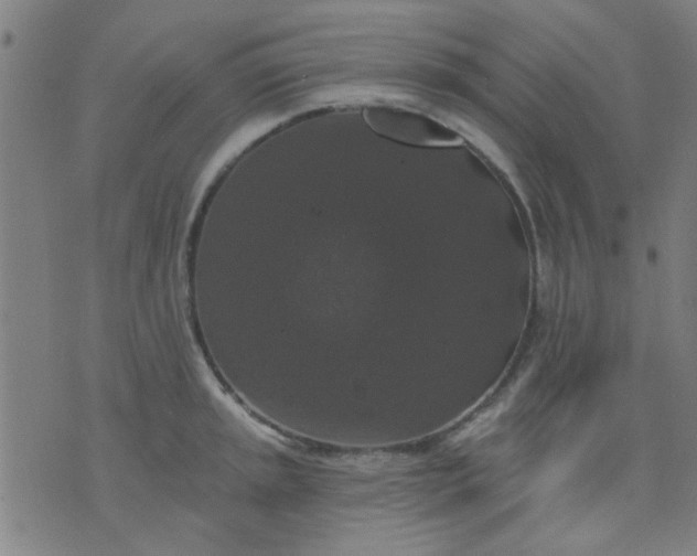 X0000076101045200610061702