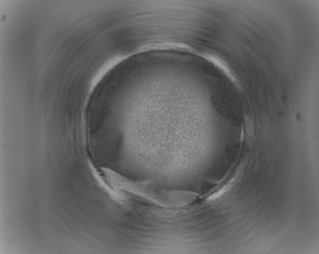 X0000076101046200610061702