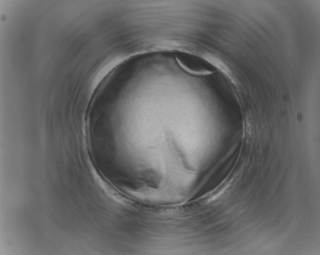 X0000076101047200610061702