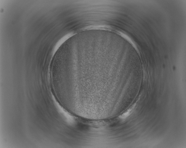 X0000076101050200610061702