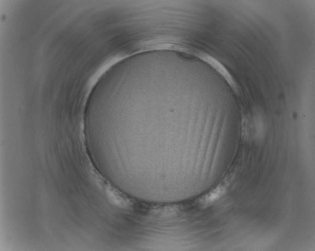 X0000076101051200610061702