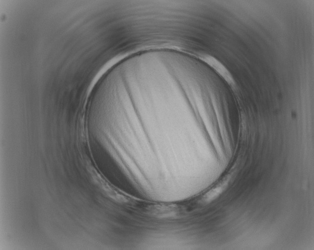 X0000076101052200610061702