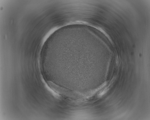 X0000076101054200610061702