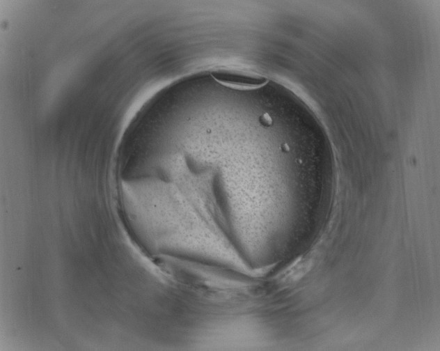 X0000076101056200610061702