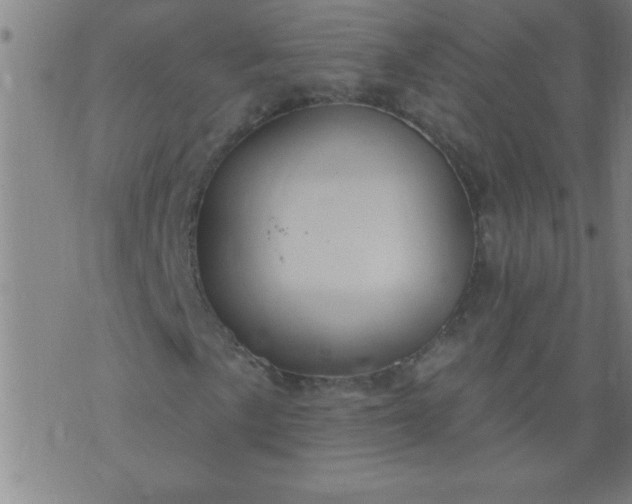 X0000076101057200610061701