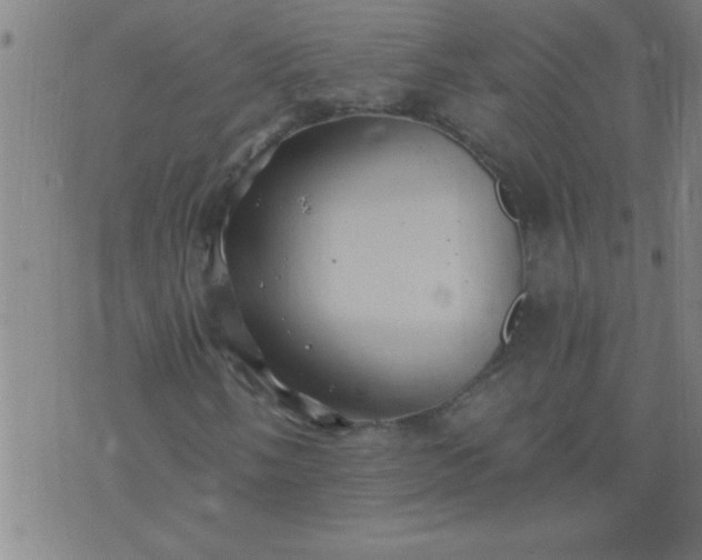 X0000076101058200610061701