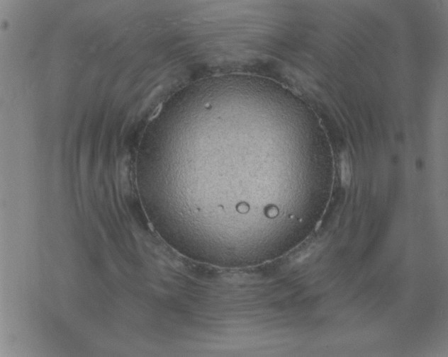 X0000076101059200610061701