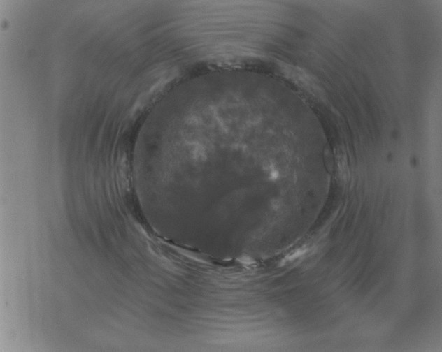 X0000076101060200610061701