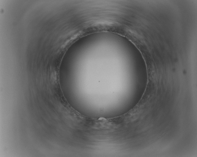 X0000076101061200610061701