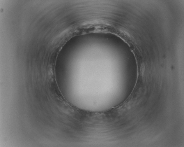 X0000076101062200610061701