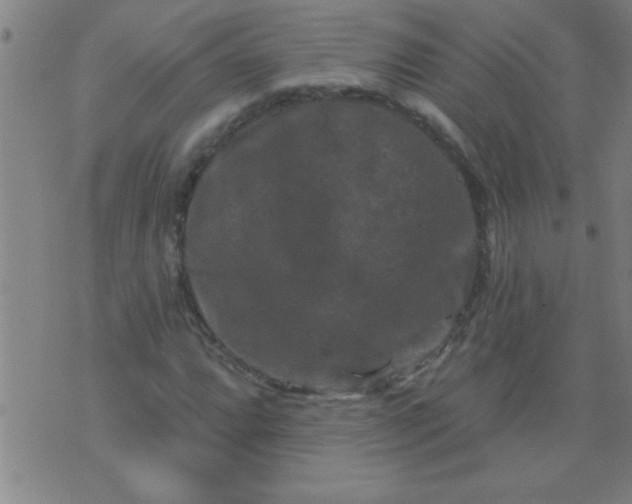 X0000076101064200610061701