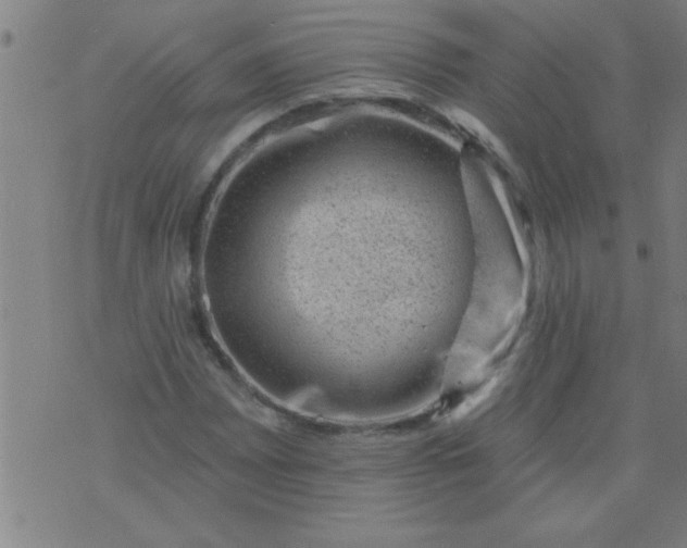 X0000076101065200610061701