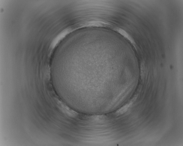 X0000076101067200610061701