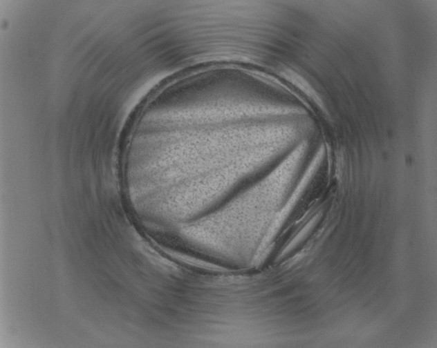 X0000076101068200610061701