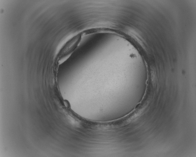 X0000076101069200610061701