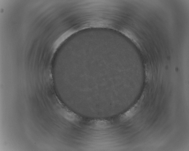 X0000076101070200610061701