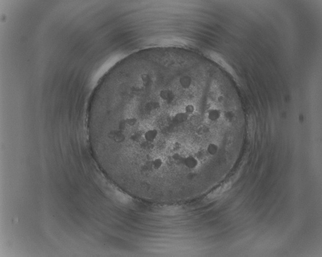 X0000076101071200610061701