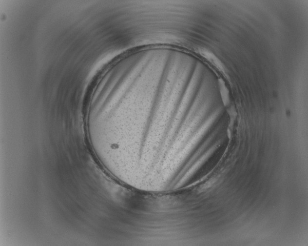 X0000076101072200610061701