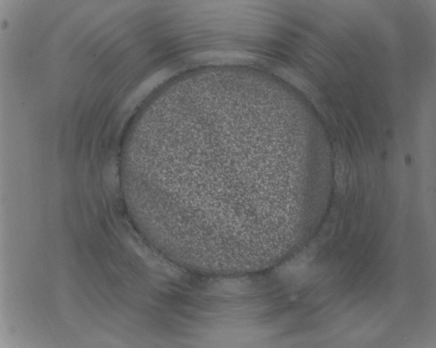 X0000076101074200610061701