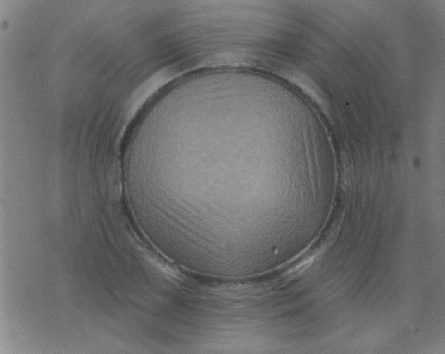 X0000076101075200610061701