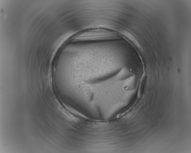 X0000076101076200610061701